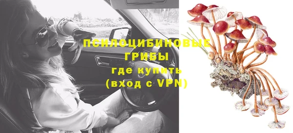 мет Елабуга