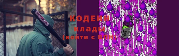 мет Елабуга