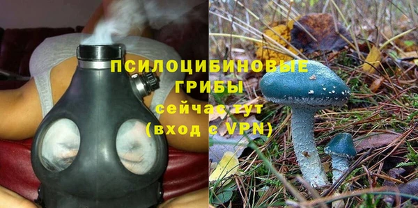 2c-b Дмитров