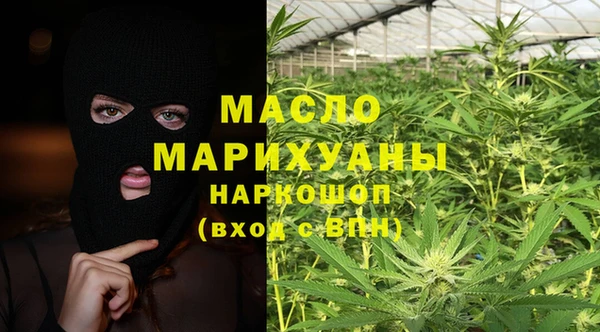 СК Ельня