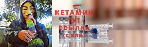 СК Ельня