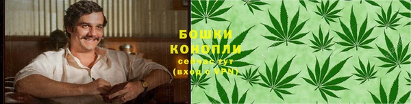 СК Ельня