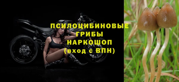 мет Елабуга