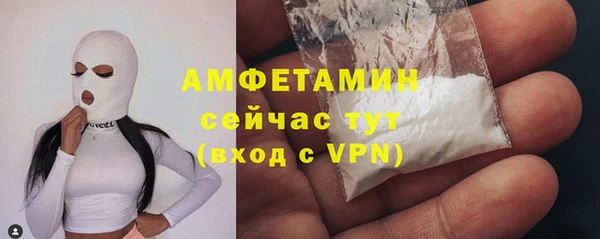 СК Ельня