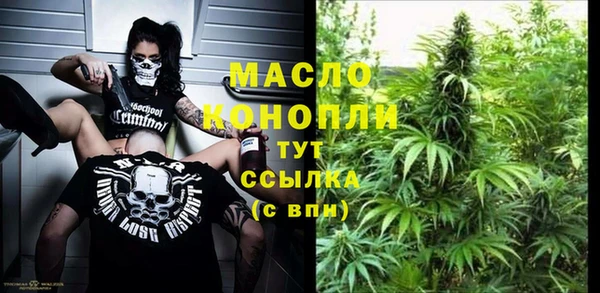 мет Елабуга