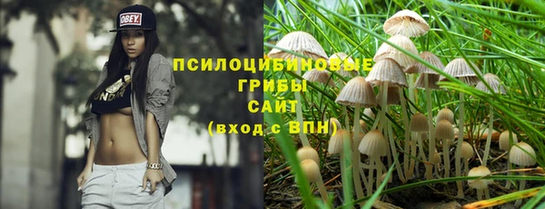 гидра Дмитровск