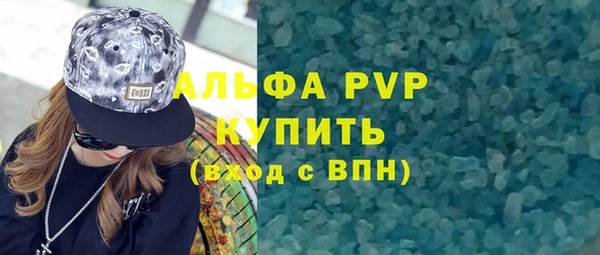 СК Ельня