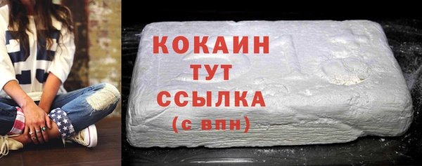 СК Ельня